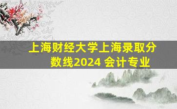 上海财经大学上海录取分数线2024 会计专业